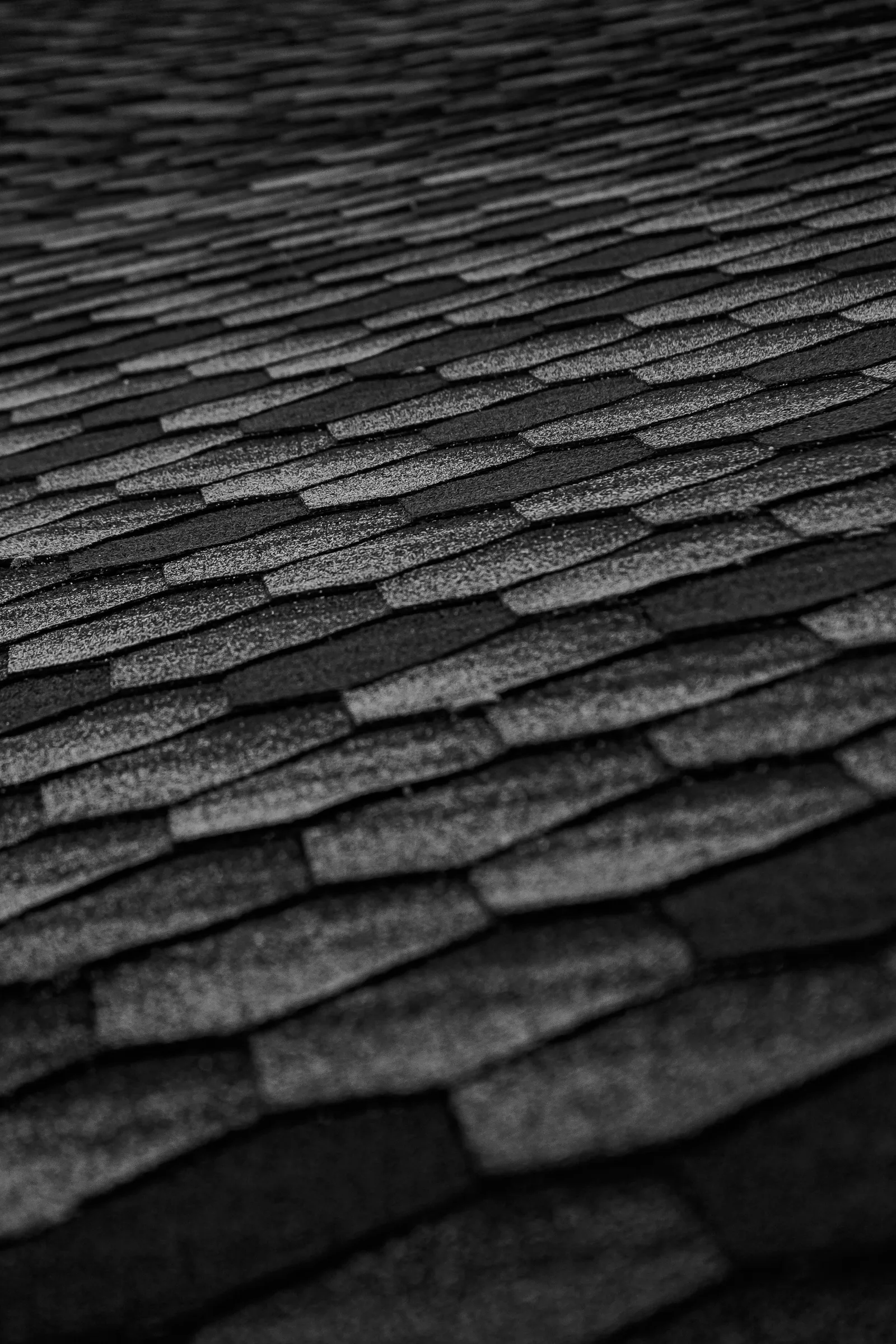 Close view of layered dark asphalt shingle tabs across a slope